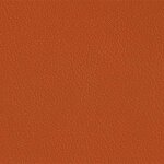 206 x 204 - kupfer