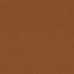 206 x 223 - nuss