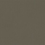 206 x 224 - elefant