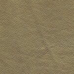 Gelb gold