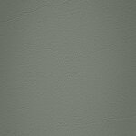 238 x 2179 - grau