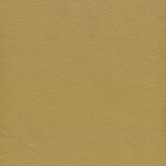 1160 - desert