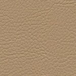 1187 - sand