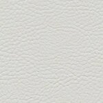 1019 - lightgrey