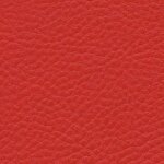 0637 - flame