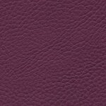 1126 - cyclam