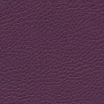 0912 - amethist