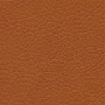 0644 - sherry