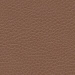 1174 - hazelnut