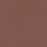 1170 - hazelnut