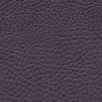 1171 - purple