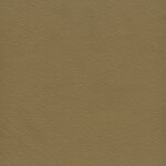 1160 - desert