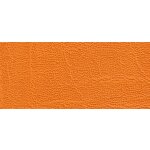 6299 - papaya