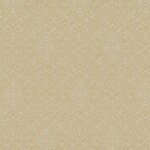 335 - champagne