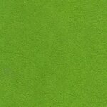1581 lizard green