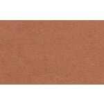 2292 beige