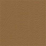 beige 3427